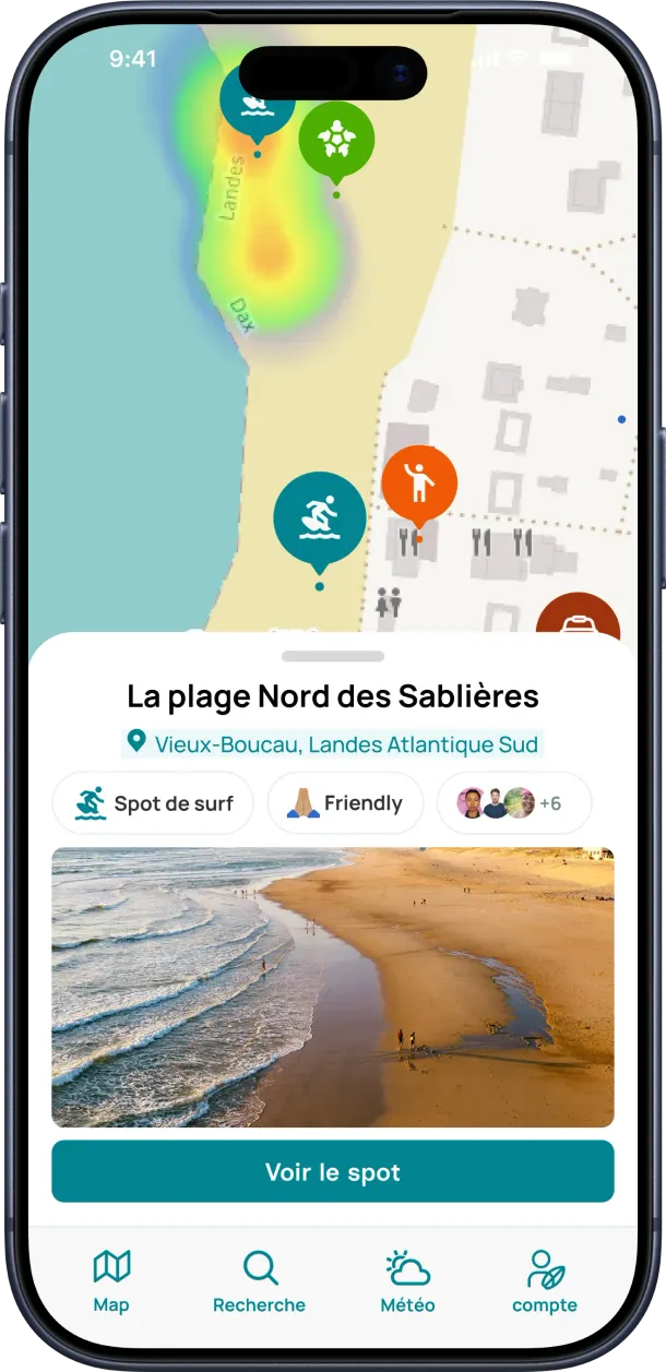 Preview of the Swellr app on iPhone